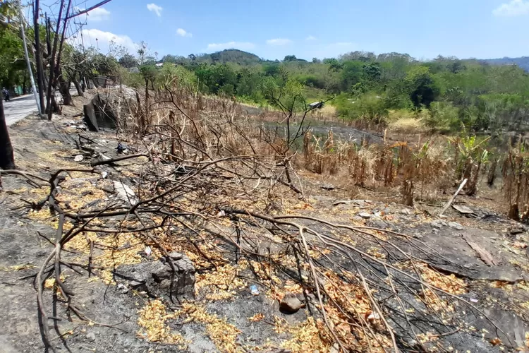 Kekeringan di Kecamatan Gunungpati. Akibat cuaca panas Semarang, 11 kelurahan terdampak.  ((Ayosemarang.com/ Audrian Firhannusa))