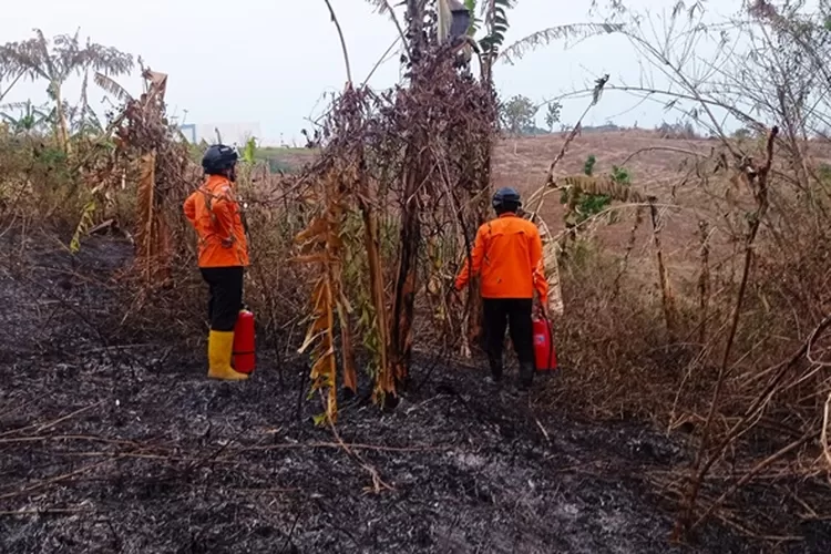 Pemkot Semarang akan pidana orangoknum yang sengaja melakukan pembakaran lahan kosong.  (Humas Pemkot)
