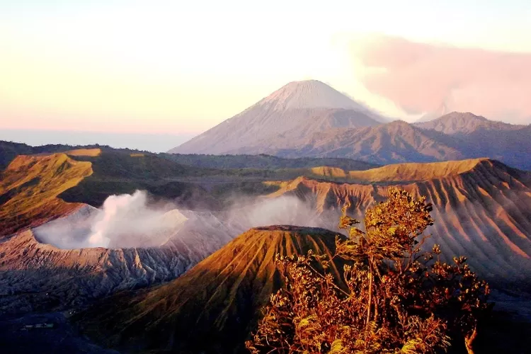 Menikmati Keindahan Gunung Bromo: Pesona Alam yang Memikat Hati - Jurnal  Flores