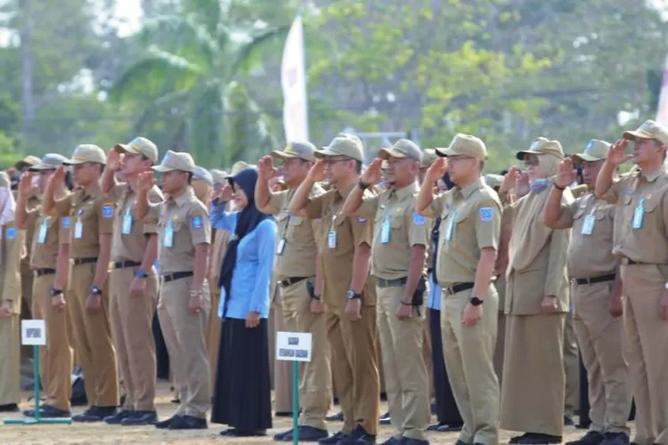 Ilustrasi ASN (Diskominfo Babel/Umar)