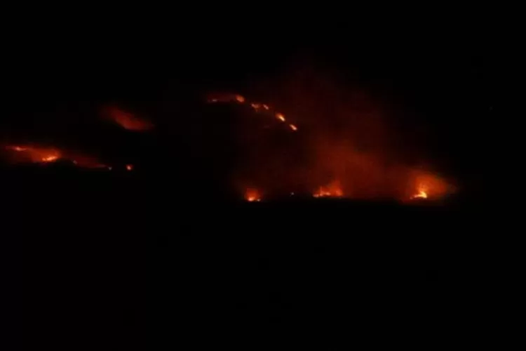 Kebakaran di Gunung Sumbing Jawa Tengah  (dok. BPBD Wonosobo)