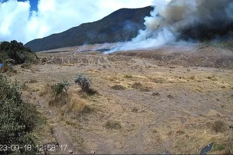 Lahan Sabaha di Alun-alun Suryakencana Terbakar, Taman Edelweis di deket lokasi kebakaran jadi terancama  (Foto: Istimewa)