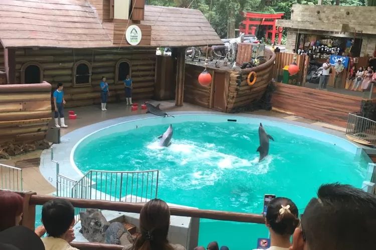 Wahana pertunjukan di Taman Safari Bogor