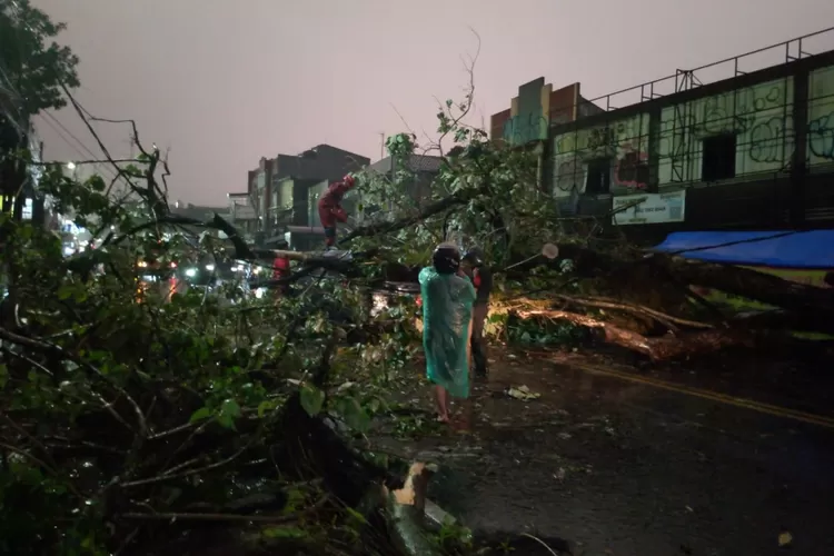 Pohon tumbang di Jalan Raya Tajur, Kota Bogor.