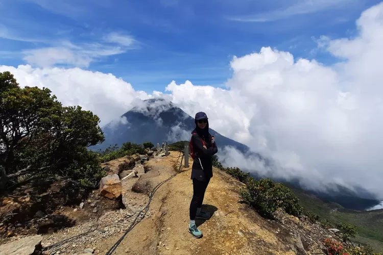 Jalur Pendakian Gunung Gede Pangrango Ditutup Tiga Hari Bakal Dipakai Kegiatan Kejurnas Lari