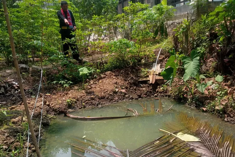Sebagain area Kantor Kelurahan Cimpaeun masih dikelingi lahan luas yang bisa dimanfaatkan sebagai kegiatan pertanian dan mendukung program pemerintah. Hal ini dimanfaatkan langsung oleh Aparatur kelurahan untuk menjadikan lahan P2L. (Andika Eka)