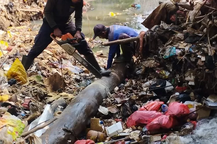 Satgas DPUPR Kota Depok saat melakukan evakuasi batang pohon di Kali Baru, Kelurahan Sukamaju Baru, Kecamatan Tapos (Andika Eka )