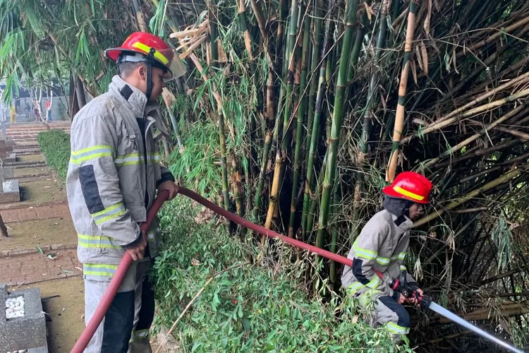 Proses pemadaman perkebunan bambu yang terletak di taman makam pahlawan, Kelurahan Kalimulya, Kecamatan Cilodong pada, Kamis  (Andika Eka )