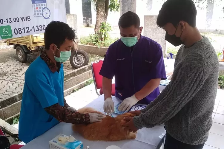 Salah satu vaksinasi rabies dari DKP3 Kota Depok (Andika Eka )