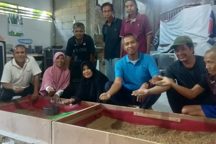 Kelompok Tani (Poktan) Sosial 3 (S3) RT9/1, Kelurahan Baktijaya, Kecamatan Sukmajaya, Depok, berhasil mengembangkan ulat maggot atau larva Black Soldier Fly (BSF) (ANDIKA EKA/RADAR DEPOK)