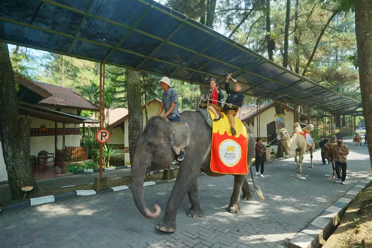 Royal Safari Garden memeriahkan HUT RI ke 78 dengan berbagai kegiatan dan promo menarik bagi pengunjung yang lahir tanggal 17 Agustus. (Royal Safari Garden)