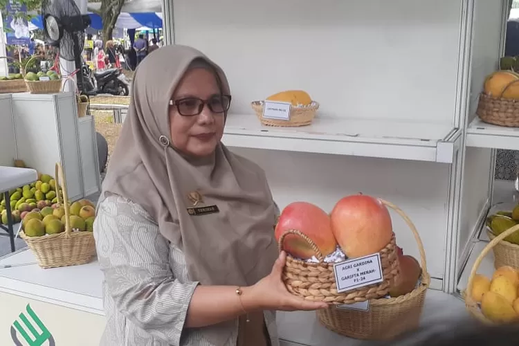 Produk mangga raksasa yang hadir dalam Gebyar Agrostandar di BSIP Bogor. (Dok Metropolitan)