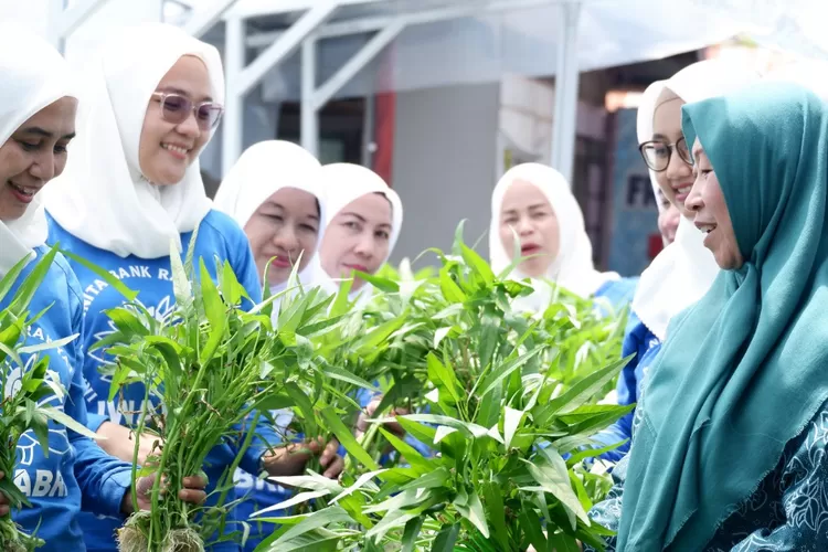 Lewa BRInita, BRI Peduli membantu masyarakat dalam mengoptimalkan lahan sempit yang ada sehingga mampu memberikan manfaat, baik dari sisi sosial, ekonomi maupun pelestarian lingkungan (BRI)