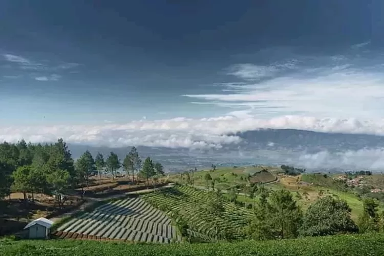Ilustrasi Bukit Kanaga, wisata di Majalengka. (radarcianjur)