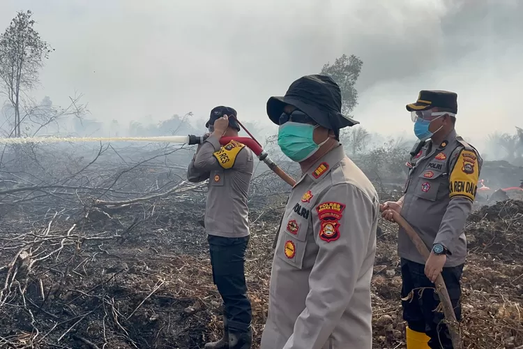 Personil Polres Muara Enim Terus Upaya Padamkan Karhutlah di Gelumbang