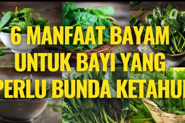 Manfaat Bayam Untuk Bayi Yang Harus Ibu Ibu Ketahui Timenews