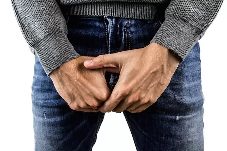 ILustrasi Mr P dengan rahasia eksotisnya. Dok, Jawa Pos