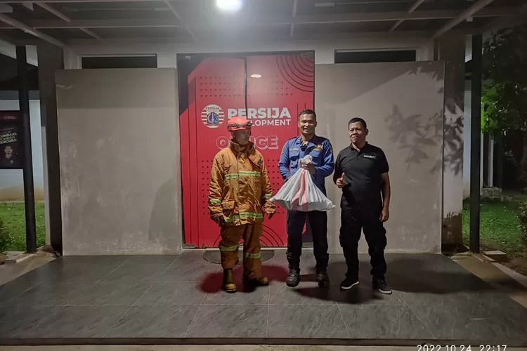 EVAKUASI : Regu B UPT Dinas Pemadam Kebakaran (Damkar) Bojongsari usai mengevakuasi sarang tawon di Jalan Rotan, RT3/6, Kelurahan Bojongsari Baru, Kecamatan Bojongsari, Senin (24/10). ALDY RAMA/RADAR DEPOK