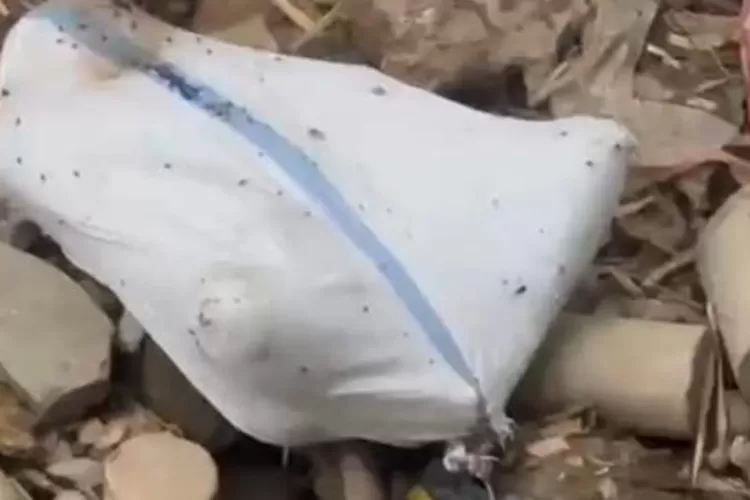 Penampakan mayat dalam karung di Bogor,di tepi sungai dekat Jembatan Wika, Jalan Raya Narogong, Kecamatan Gunungputri, Kabupaten Bogor, kuat dugaan warga Depok, Jumat (16/12). IST