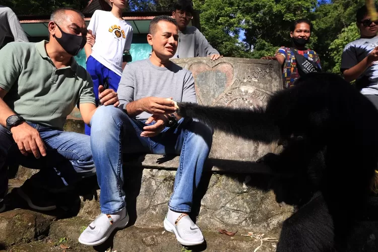 Wakil Gubernur (Wagub) Sumatera Utara (Sumut) Musa Rajekshah mengunjungi Taman Wisata Kera Sibaganding di Simalungun, Kamis (20/8).