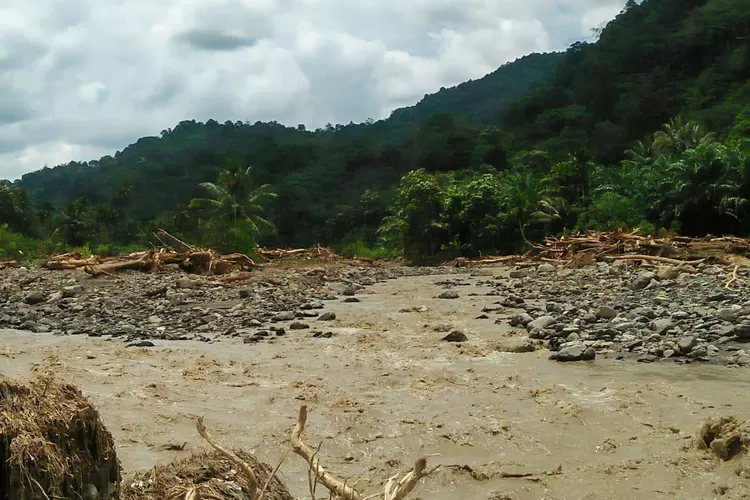 Dampak banjir akibat perambahan hutan. (Ist)
