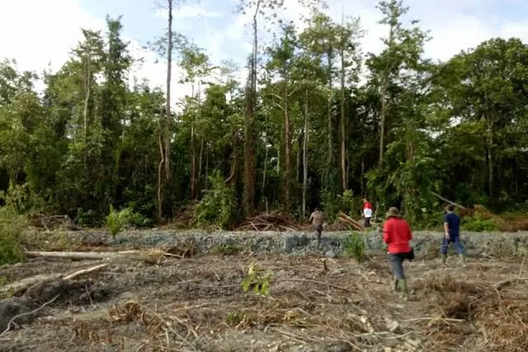 Lokasi lahan bekas HGU PT CA di Kecamatan Babahrot, Abdya.
