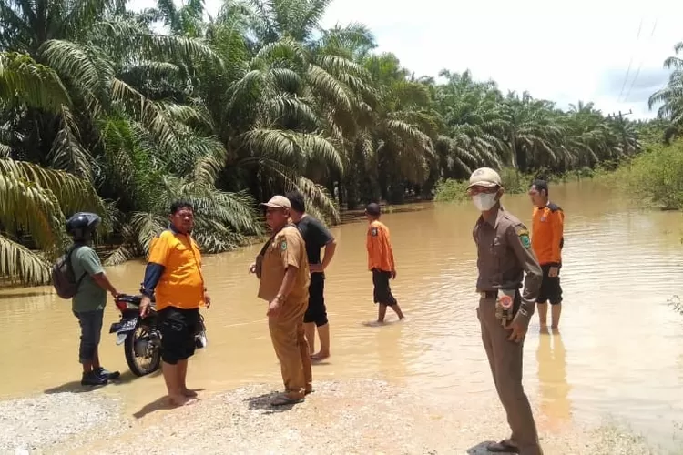 Petugas BPBD dan Satgas-PB Paluta meninjau dan membantu warga menyebrang akibat badan jalan utama di kecamatan Simangambat tergenang banjir, Selasa (01/03).(REALITAS)