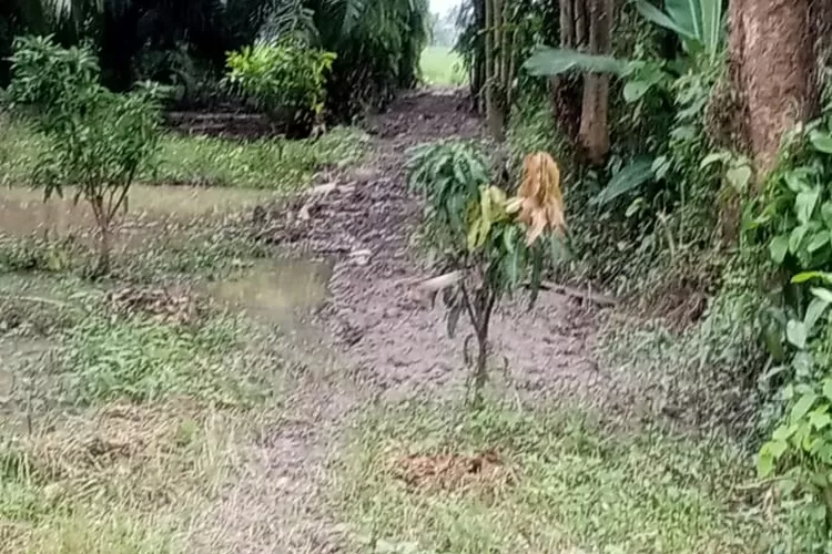 Akses jalan umum di jalan jelutung psr 3 cina diduga dijual Kepling AS. (Foto/ realitasonline.id/MA)