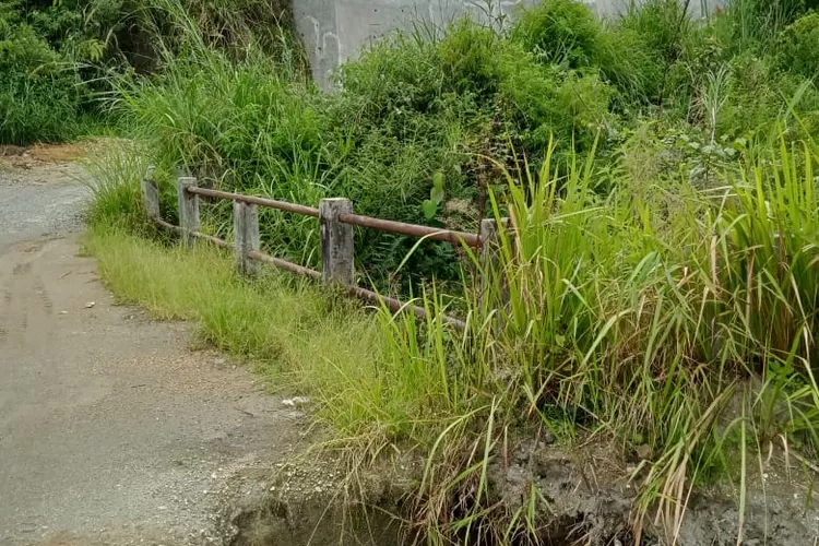 Jembatan Pardarian berlubang besar terancam ambruk ,mohon perhatian instansi terkait.(foto Realitasonline).