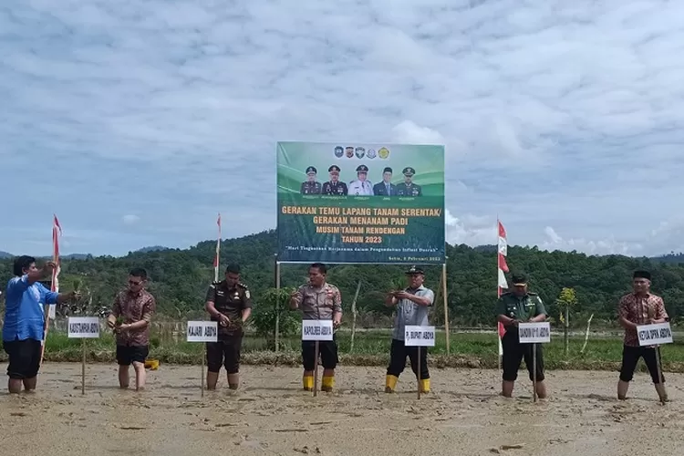 Foto: Pj Bupati Abdya H Darmansah didampingi Dandim 0110/Abdya Letkol Inf Roqich Hariadi dan pejabat lainnya, melakukan tanam perdana di lahan sawah kawasan Desa Pisang, Kecamatan Setia, Abdya, Kamis (2/2)/ Realitasonline.id - ZAL