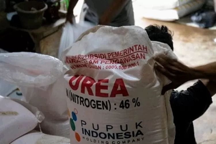 CV Halim Jaya Sudah Salurkan 30 Persen Pupuk Urea ke Kios Pengecer