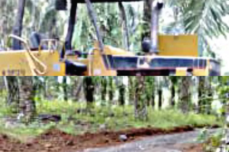 Lahan warga yang di buldoser oleh kades tanpa ada musyawarah. (Poto RealitasOnline.id/MA)