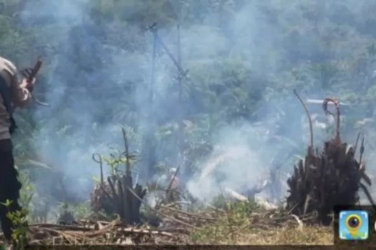 Personil Bhabinkamtibmas Polsek Batang Angkola bersama warga, berjibaku memadamkan api yang membakar lahan.(Foto : Realitasonline/Riswandy)