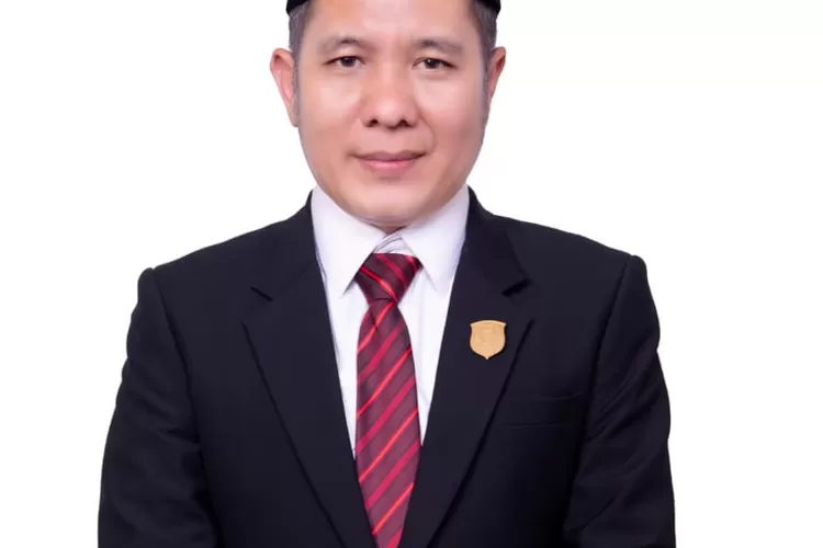 Anggota DPRD Kabupaten Palas Luat Hasibuan. (Ist)