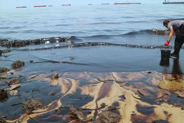 Pulau Pari, Kepulauan Seribu, DKI Jakarta yang menjadi korban kebocoran pipa Pertamina, saat ini sudah bersih dari tumpahan minyak. 