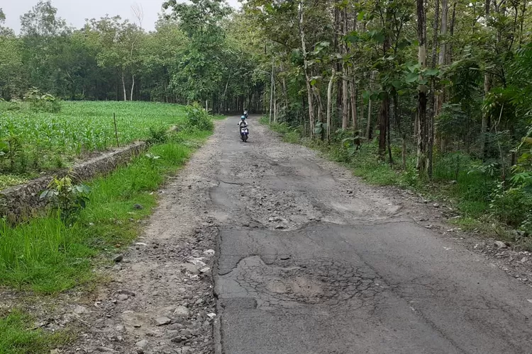 Jalan antardesa di Desa Sunggingan dan Desa Jeruk Kecamatan Miri, Kabupaten Sragen yang rusak parah akibat dilalui truk pembawa matrial batu gamping  dari galian illegal tak kunjung diperbaiki.
