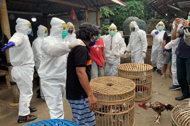 Penggrebekan sabung ayam di Bekasi oleh Tim Jatanras PMJ. Petugas kenakan APD. (Istimewa)