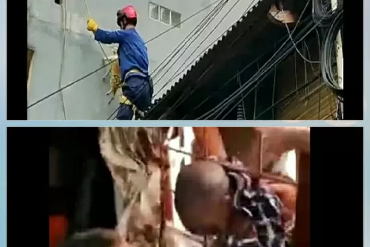 Foto atas: Petugas damkar  Jakbar menyelamatkan kucing yang terjebak di atap sebuah rumah. Foto bawah: Petugas damkar Jakbar menyelamatkan bocah yang terjebak di teralis jendela rumah. (Antara)