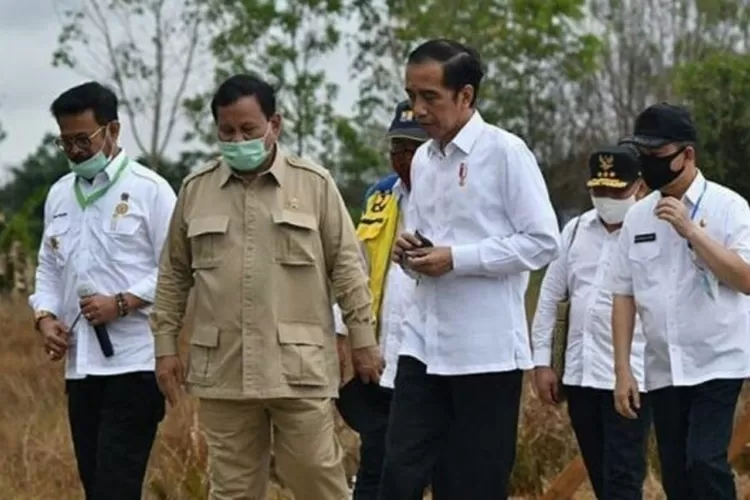 Jadi Tanggung Jawab Prabowo Subianto, Food Estate Mangkrak, Anggaran 1 ...