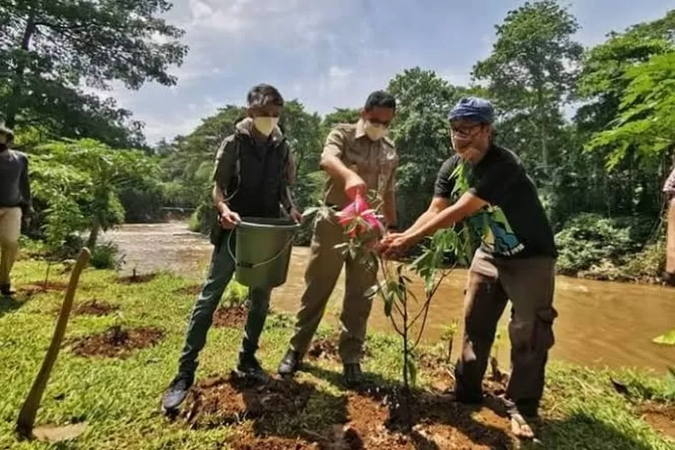 Gubernur  DKI Anies Baswedan mendorong semua pihak untuk menanam pohon agar dapat mengurangi gas buang di DKI.