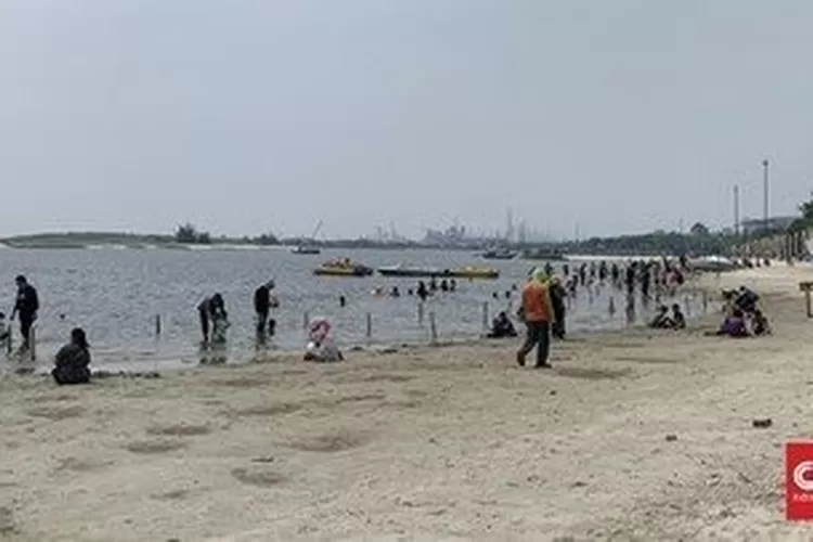 Teluk Jakarta tercemar  Paracetamol