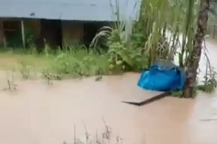 Ketika Hujan Kampung Bugis Kota Sorong Terendam Banjir Lumpur Galian C
