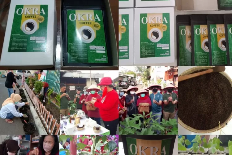 Kegiatan budidaya tanaman Okra oleh Kelompok Wanita Tani (KWT) Ken Asri yang didukung oleh Pemkot Semarang  di masa Pandemi Covid-19
