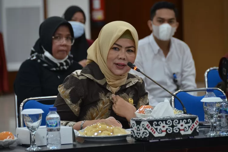 Anggota Komisi VIII yang juga Anggota BURT DPR RI, Idah Syahidah Rusli Habibie