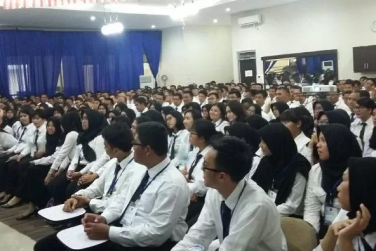 CPNS/Ilustrasi (Foto:Net)