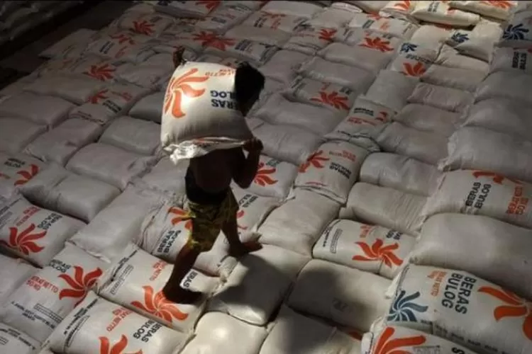 Cadangan beras di Perusahaan Umum Badan Urusan Logistik (Perum Bulog) Sub Divre Serang 