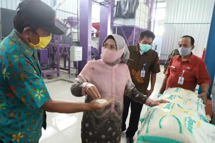 Bupati Serang, Ratu Tatu Chasanah meninjau produksi beras petani lokal dengan branding Beras Jawara Serang (Jaseng), di Kecamatan Pontang, Jum'at (17/4/2020). (Foto:Topmedia)