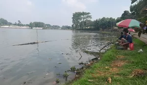 Dampak El Nino Sudah Terasa, Situ Se-Depok Mulai Surut