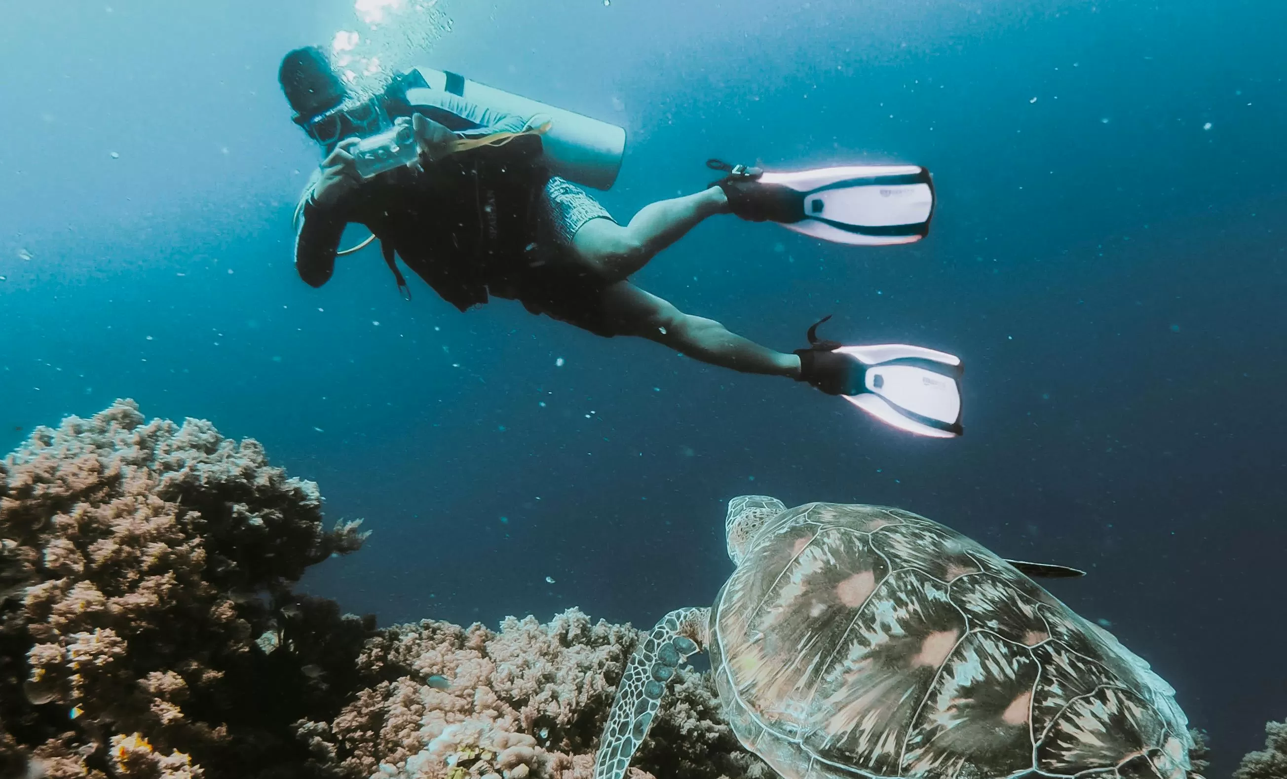 Ilustrasi. Temukan 7 tempat wisata air di Indonesia yang menawarkan berbagai olahraga air seru, dari surfing hingga snorkeling. (Foto: Pexels)