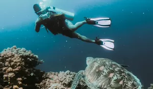 7 Destinasi Wisata Air Terbaik di Indonesia untuk Penggemar Olahraga Air